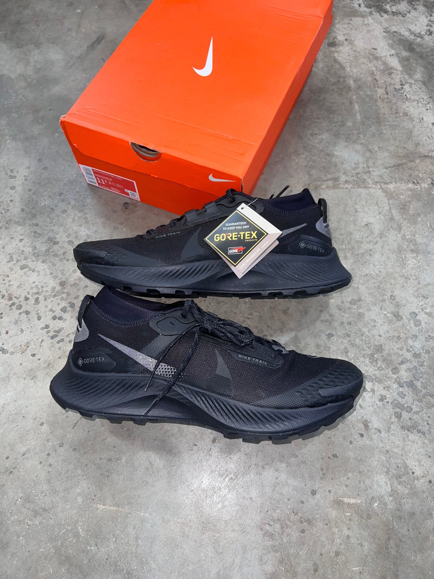 Nike Pegasus Gore-Tex - Triple Black